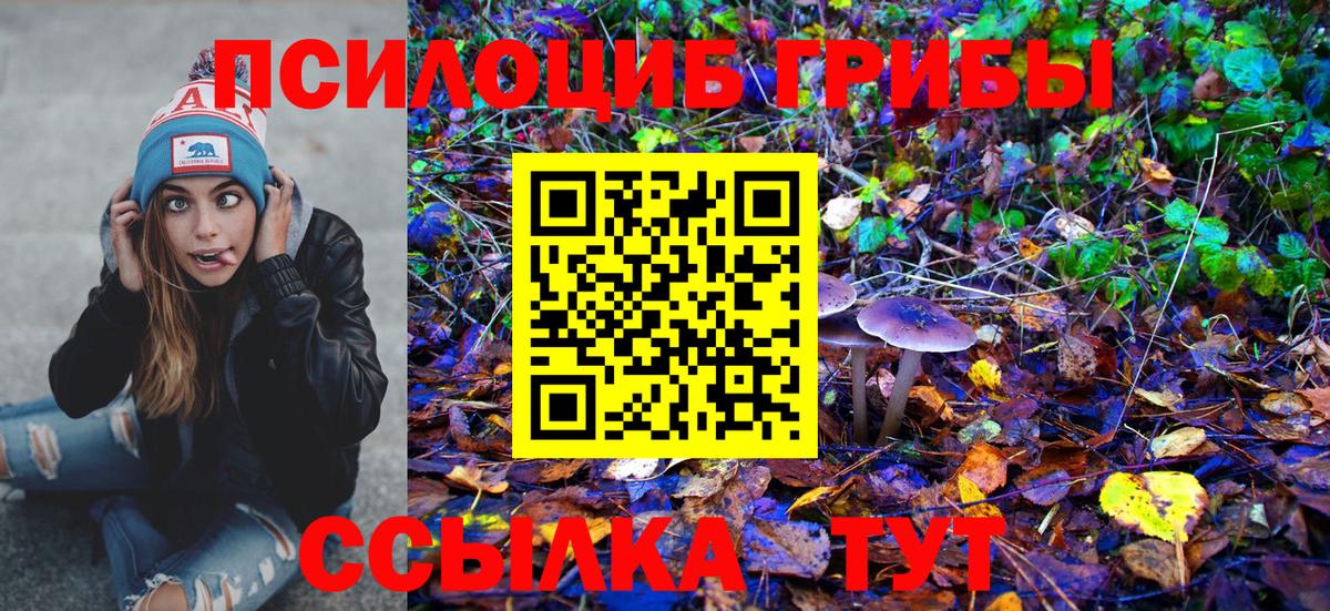 Холмск  Псилоцибиновые грибы ЛСД  Вход с VPN 